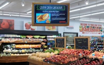 Elpro Technologies Custom Kiosk Design Services in Bengaluru: A Step-by-Step Guide